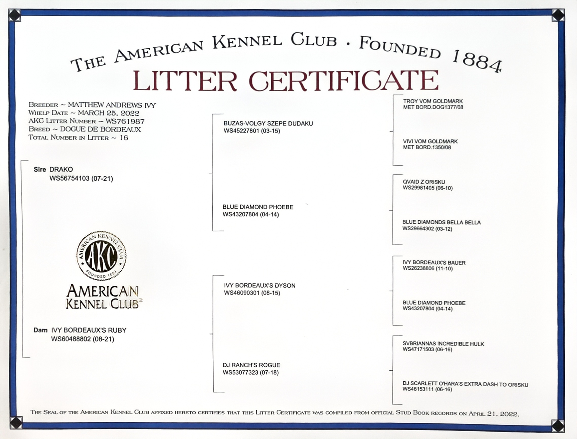 greta litter cert